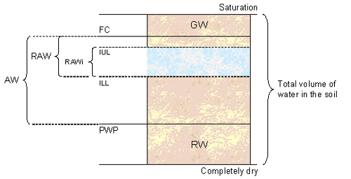 irrigation